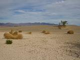 Death Valley 025 : Vermont Canoe Spring